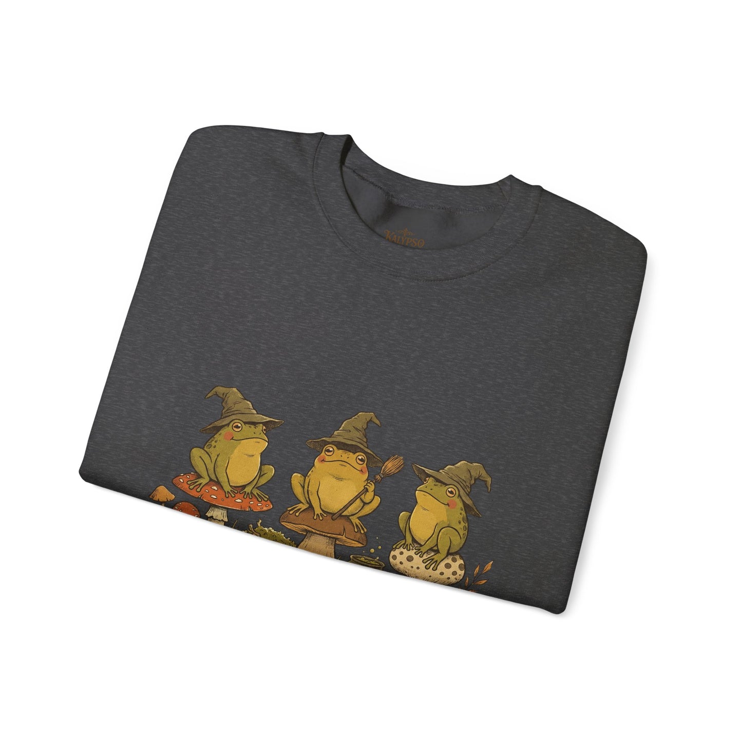 Witchy Frog Pullover