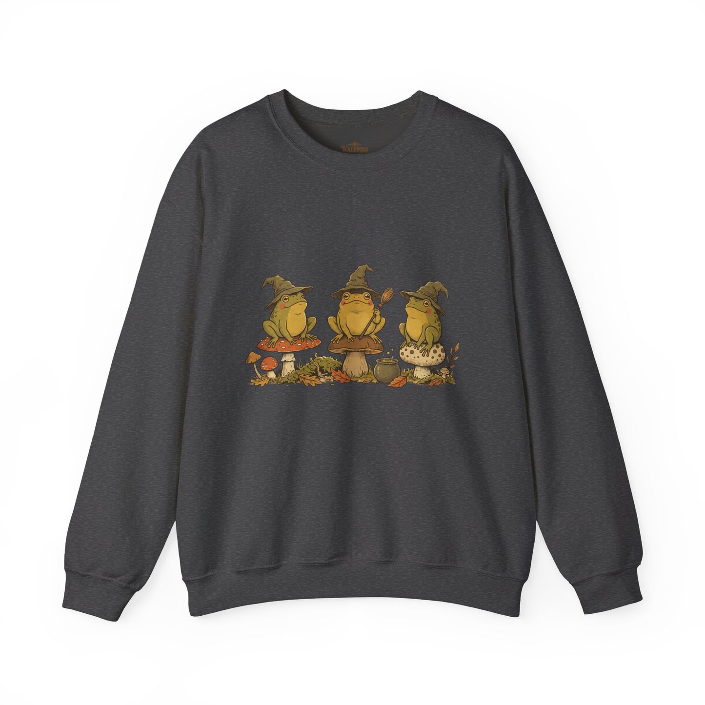Witchy Frog Pullover