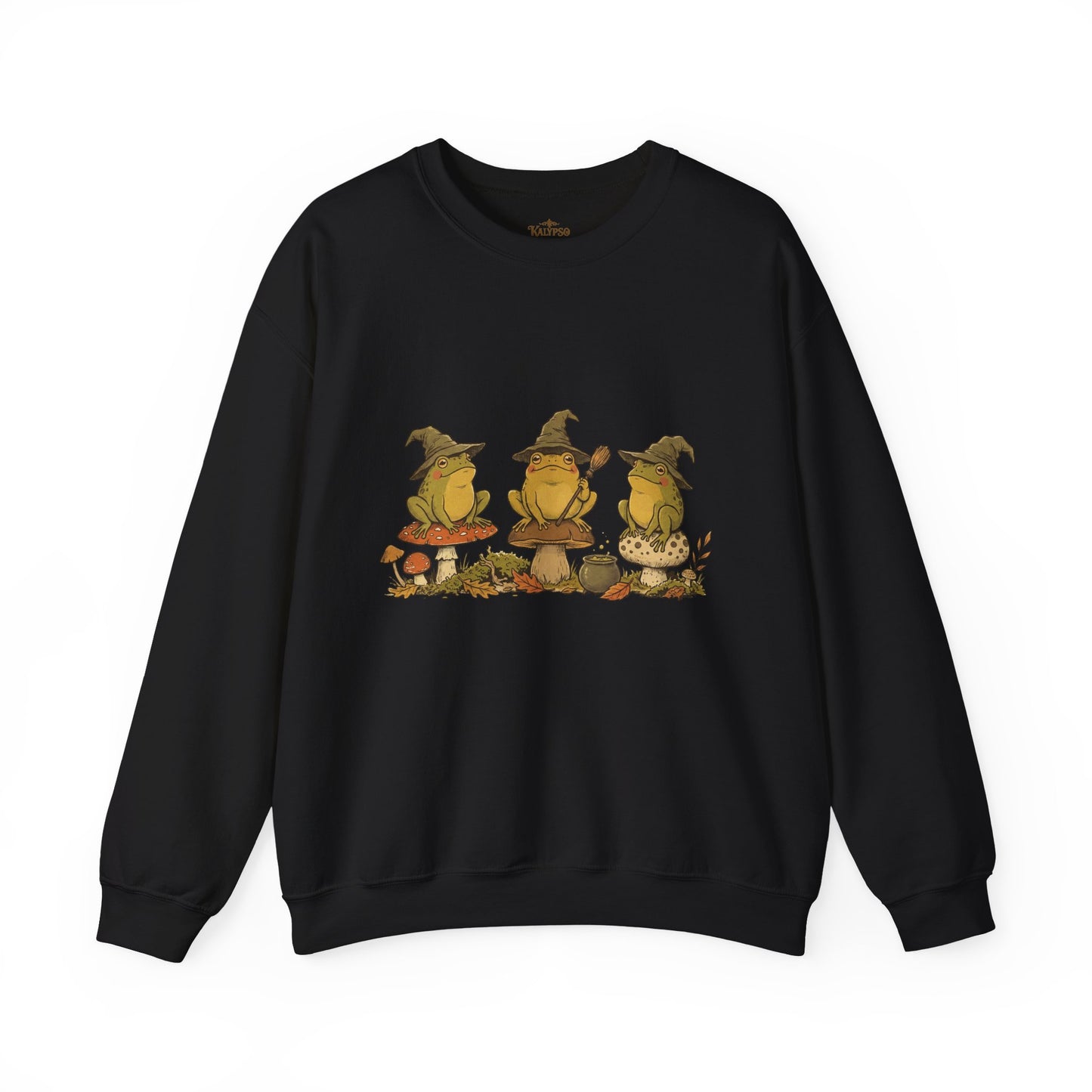 Witchy Frog Pullover